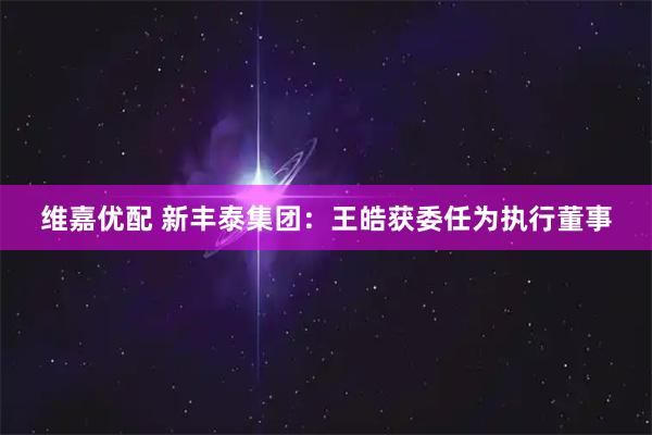 维嘉优配 新丰泰集团：王皓获委任为执行董事