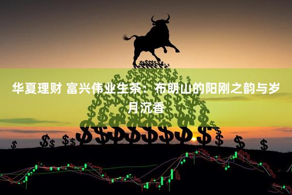 华夏理财 富兴伟业生茶：布朗山的阳刚之韵与岁月沉香
