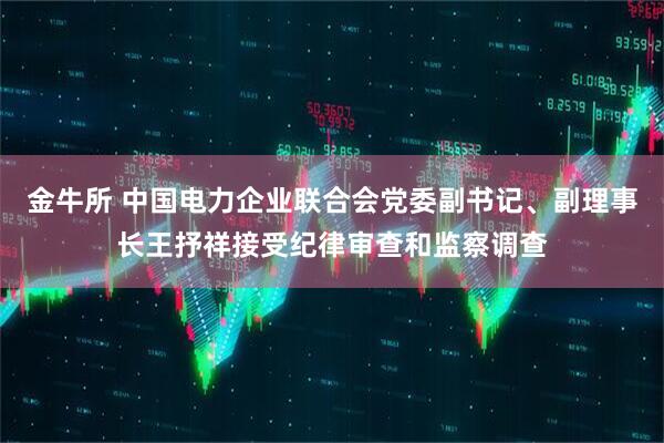 金牛所 中国电力企业联合会党委副书记、副理事长王抒祥接受纪律审查和监察调查